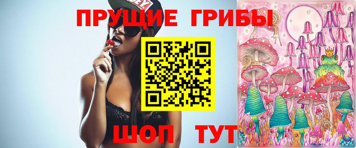 Псилоцибиновые грибы GOLDEN TEACHER Сочи